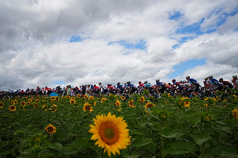 2024 Tour de France cycling race 
